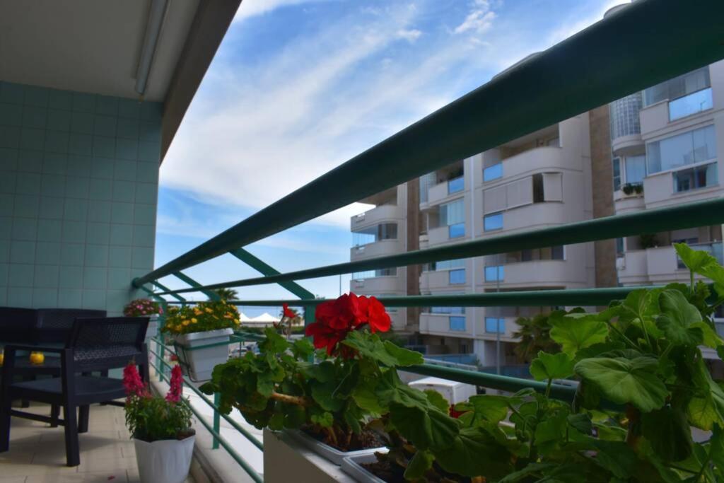 Donna Teresa Accomodation - Holiday House Monopoli Εξωτερικό φωτογραφία